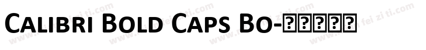 Calibri Bold Caps Bo字体转换